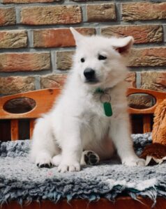 WhatsApp Image 2026-06-09 at 17.36.17 (10)